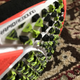 Illustration for article titled Neon ninja shoes are not just for toddlers!
